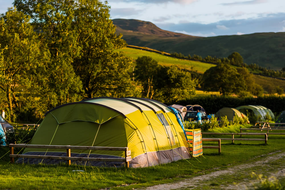 Burns Farm Caravan Site — photo 4